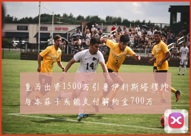 皇马出资1500万引鲁伊科斯塔穆帅与本菲卡或能支付解约金700万