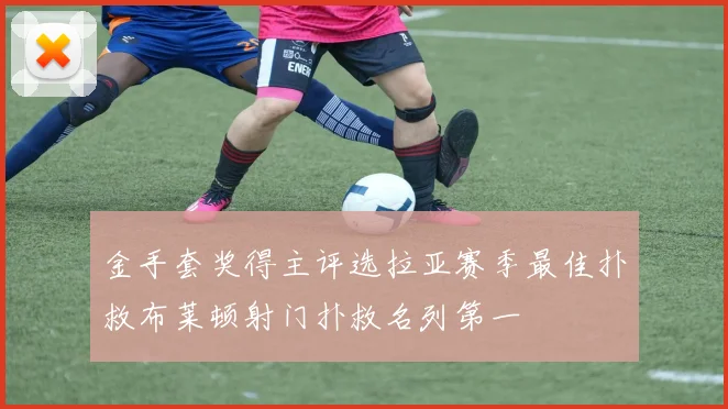 金手套奖得主评选拉亚赛季最佳扑救布莱顿射门扑救名列第一